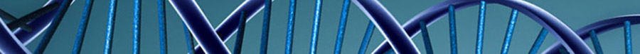 DNA Strand